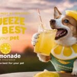Lemonade Pet Insurance: Squeeze the Best for Your Pet