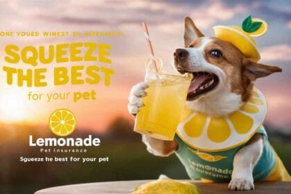 Lemonade Pet Insurance: Squeeze the Best for Your Pet