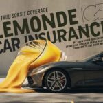 What Does Lemonade Car Insurance Cover