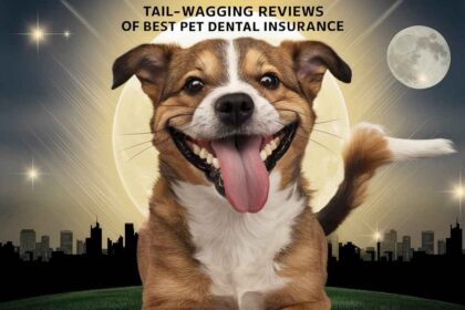 pet dental insurance