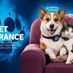 Pet insurance with no waiting periods for instant peace gives you the freedom to care for your pet without delays. Start now.