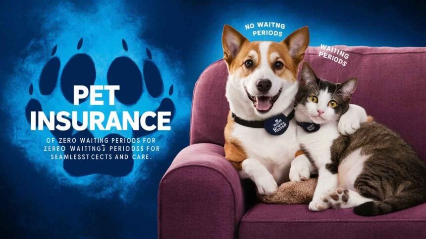 Pet insurance with no waiting periods for instant peace gives you the freedom to care for your pet without delays. Start now.